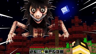 HO INCONTRATO M0M0 NEL MIO MONDO DI MINECRAFT [upl. by Gardol]