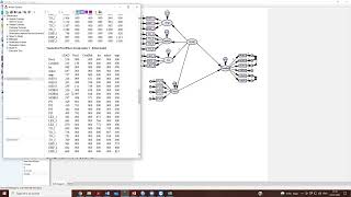 CBSEM Module 8 Lecture 2 Structural Model Results [upl. by Neeleuqcaj]