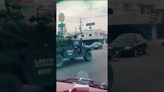 Pollitos de colores salen huyendo despavoridos ante la presencia de elementos del Ejército mexicano [upl. by Elfont677]