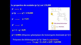 Exercice de génétique humaine et des populations Hérédité autosomique récessive Bacconcours [upl. by Enyawed377]