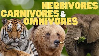 Herbivores Carnivores and Omnivores for Kids  Learn which animals eat plants meat or both [upl. by Yrol]