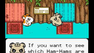 Lets Play Hamtaro HamHams Unite Part 1  Cute and Cuddly [upl. by Selway]