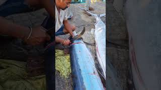 The Fastest Fish Filleting Youve Ever Seen 4k fishing vizag [upl. by Derron254]