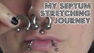 My septum stretching journey [upl. by Eveiveneg158]