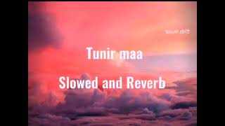 O Tunir Maa SlowedReverb Bengali song 2017 [upl. by Issie]