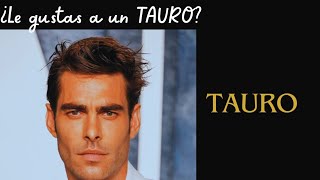 quot8 Señales de que le Gustas a un Tauro Descubre sus Comportamientosquot [upl. by Irina]