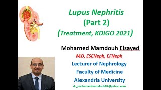 Lupus Nephritis treatment KDIGO 2021 [upl. by Eglanteen]