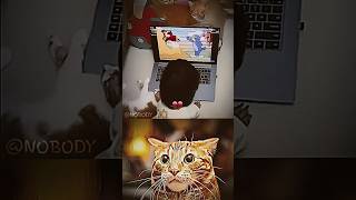 🐶🐈 trendingshorts trolface memes cat fypシ゚viral [upl. by Robby]