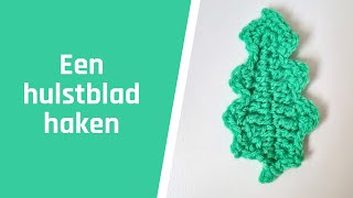 Een hulstblad haken [upl. by Ahseei]