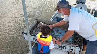 Deckhand in Training shrimping louisiana cajun shorts [upl. by Haras]