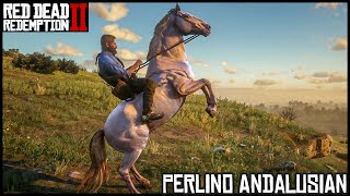 The Perlino Andalusian  Red Dead Redemption 2 Story Mode [upl. by Moyna]