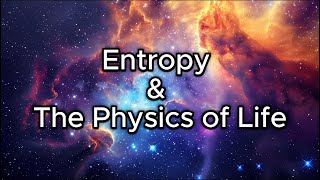 Entropy and The Physics of Life [upl. by Asyal]