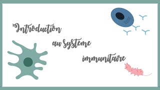 Introduction au système immunitaire inné et adaptatifImmunologie [upl. by Alakcim73]