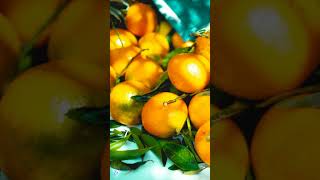 MANDARINA  plants medicine medicinalplants agroecology agriculture shorts agro world fruit [upl. by Karlotte749]