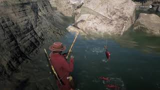 Red Dead Redemption 2 fishing for sockeye salmon [upl. by Akinek]