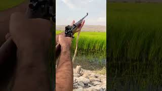 Russian TOZ 8m 22 Lr Rifle loaded test fire trending fire shortvideo shortsfeed shorts fire [upl. by Alexandra]