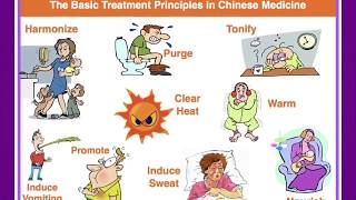 The treatment principles is Chinese medicine [upl. by Fisher]