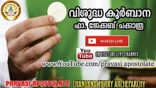 Holy Mass St Marys Church Parel Changanacherry Organized By Pravasi Apostolate [upl. by Stanley]