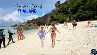 Similan Islands 🌴  Best islands in the World  India to Thailand EP05 [upl. by Nilloc]