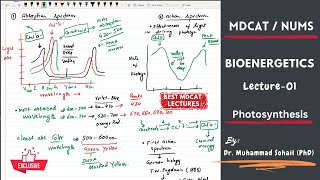 MDCAT  NUMS  Bioenergetics  Lecture01  Introduction [upl. by Nickola]