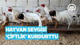 Hayvan sevgisi quotçiftlikquot kurdurttu [upl. by Schlenger616]