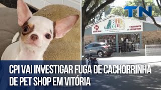 CPI vai investigar fuga de cachorrinha de pet shop em Vitória [upl. by Jarlen]