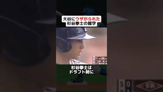 【野球芸人】大谷翔平にウザがられた杉谷拳士の雑学 野球ネタ プロ野球 杉谷拳士 大谷翔平 中田翔 芸人 [upl. by Anieral]