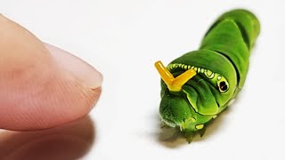 캐터피와 친구가 되는 과정 The process of making friends with a Caterpie [upl. by Udenihc]