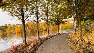 Stunning bike ride shoreline of Kungsholmen Stockholm City nature people beauty amp autumn [upl. by Rosmarin]