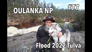 Kiutaköngäs Oulanka National Park Kuusamo 2022 Tulva [upl. by Airdnaz]