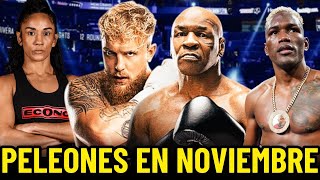 Calendario de BOXEO Noviembre 2024 🥊 TIENES QUE VER ESTO [upl. by Mahon]