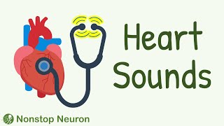 How the Heart DHAK DHAKs Heart Sounds Explained with the Most Accurate Animations [upl. by Eecyaj]