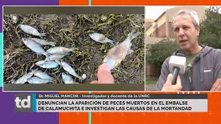 Denuncian la aparición de peces muertos en el Embalse de Calamuchita [upl. by Dloreh]