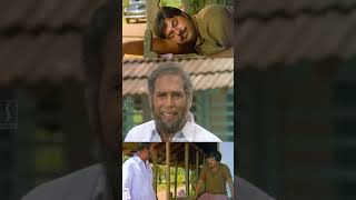 എന്നാല് വണ്ടിയും കൊണ്ട് നമ്മള് പോകേണ്😍😍  Malayalam Movie Scenes  Mammootty  Balan K Nair [upl. by Assilrac]