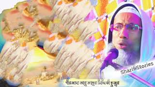 Cholua Chole k dekhe┇চলো চল কে দেখে┇Taher Siddiqui Notun gojol┇পীরজাদা আবু তাহের সিদ্দিকী সাহেব [upl. by Htiduj97]