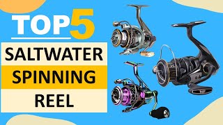 Top 5 Saltwater Spinning Reel in 2024  Best Spinning Fishing Reel [upl. by Eedolem]