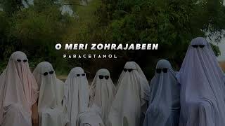 O Meri Zohra Jabeen 😎  Slowed Reverb [upl. by Dorian]