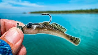 This REALISTIC Goby Bait Catches GIANT Smallmouth Sight Fishing [upl. by Asim]