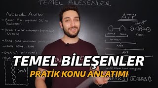 CANLILARIN TEMEL BİLEŞENLERİ  ÖZET KONU ANLATIMI  yks2022 [upl. by Ruscher]