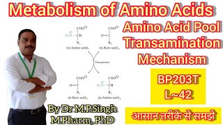 Transamination  Metabolism of Amino Acids  Part1  Biochemistry  BP203T  L42 [upl. by Amethyst733]