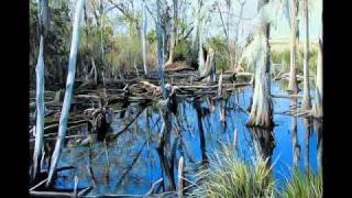 Josh Turners South Carolina Low Country [upl. by Biegel]