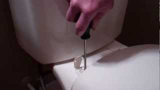 How to replace a toilet seat [upl. by Efioa]