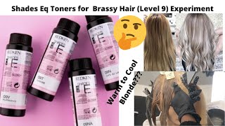 Shades Eq Toners for Brassy Hair Level 9 Experiment [upl. by Acimak388]