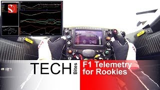 F1 Telemetry for Rookies  Sauber F1 Team [upl. by Alfreda]