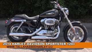 New 2014 Harley Davidson Sportster 1200 Custom Motorcycle for Sale  Tallahassee FL [upl. by Hras512]