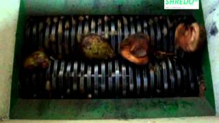 Coconut Shell and Biodegradable Substrates Shredder Coconut Leaf and Husk Shredder [upl. by Taggart]