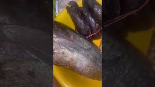 Buying foodstuffs from a Ghanaian market youtube vlog food farming [upl. by Akkire508]