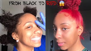 HOW TO DYE YOUR HAIR WITHOUT BLEACH VERY EASY [upl. by Noak]