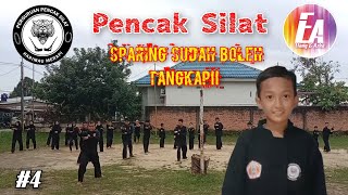 Pencak Silat Aturan baru Sparing sudah boleh main Tangkap Elangazka [upl. by Wollis]