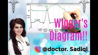 Wiggers Diagram EXPLAINED WITHIN 3 MINUTES [upl. by Cordie879]